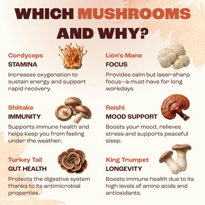 Mushroom Coffee